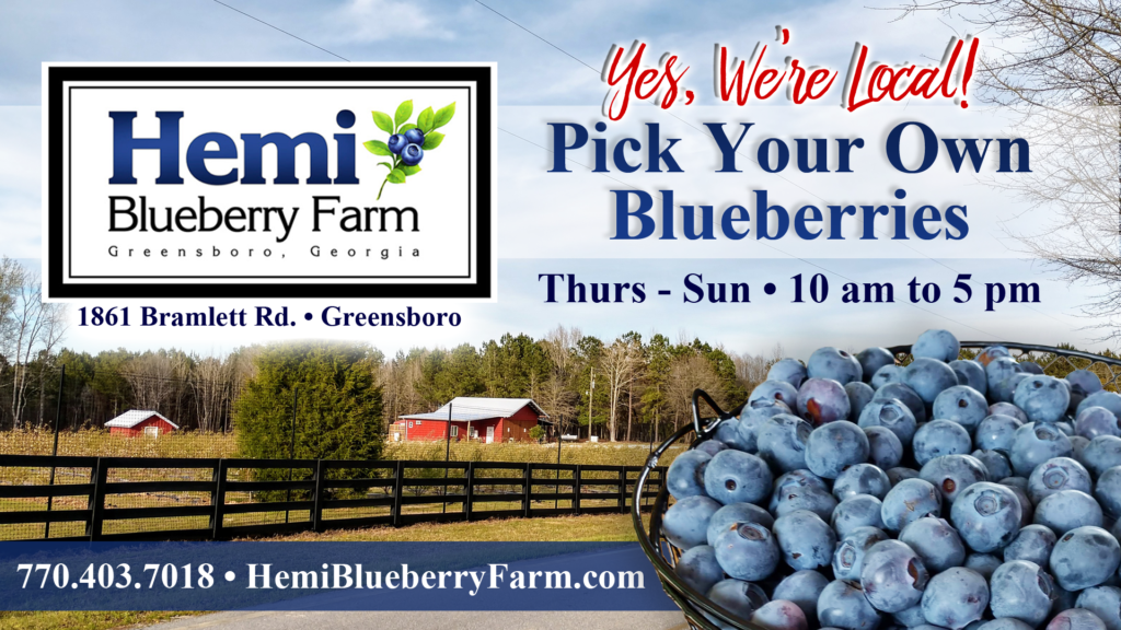 Blueberry markets us clients